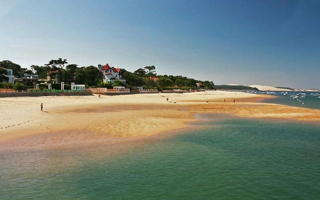 Bassin d’arcachon en plein essor culturel et écologique