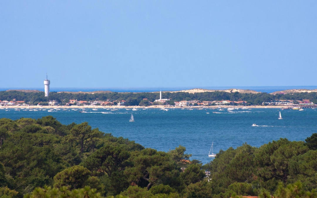 Bassin d’arcachon immobilier record et conseils pour investir