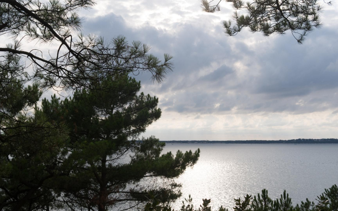 Immobilier arcachon pyla : résilience et prix au m² record