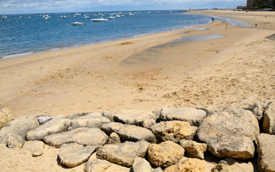 Bassin d’Arcachon, joyau iodé entre forêt, mer et tourisme durable