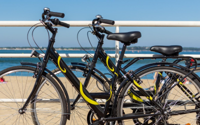 Immobilier arcachon essor record et opportunités à saisir