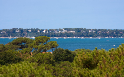 Explorez le bassin d’Arcachon : nature, culture et traditions iodées authentiques
