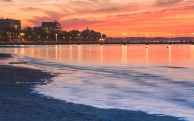 Immobilier bassin d’arcachon : marché dynamique et art de vivre