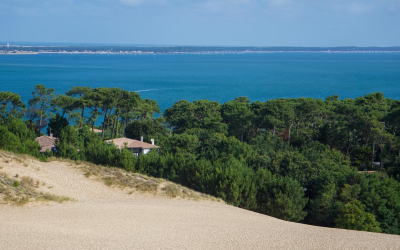 Immersion iodée dans le bassin d’Arcachon sauvage et culturel