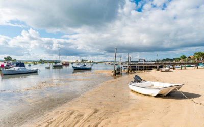 Bassin d’Arcachon en plein essor culturel et écologique
