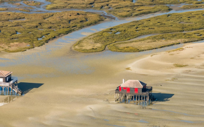 Immersion dans le bassin d’arcachon : ostréiculture, nature et culture locale