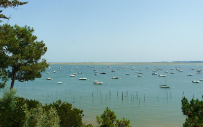 Bassin d’Arcachon atteint un record de 2,5 millions de visiteurs