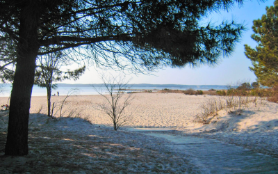 Découvrir le moulleau : 9 idées essentielles pour un été inoubliable