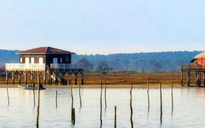 Voyage au coeur du bassin d’arcachon naturel et vibrant