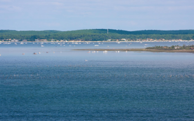 Investir sur le bassin d’arcachon: un marché porteur et dynamique