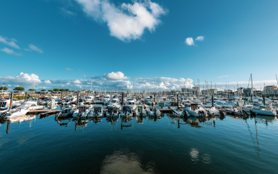 La vie du bassin d’Arcachon entre innovation et traditions durables