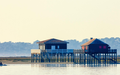 Bassin d’arcachon : événements, écotourisme, tradition ostréicole et perspectives