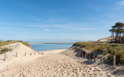 Bassin d’arcachon : voyage authentique entre dunes, culture et nature