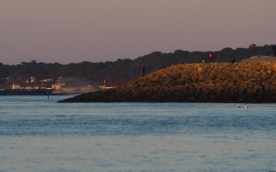 Immobilier bassin d’arcachon : prix record et conseils malins